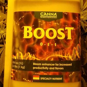 How to use Canna Boost to grow better weed plants