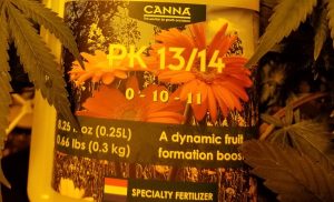 Canna PK 13/14 is a nutrient used during flowering. It is 0-10-11 NPK, so it has 0% Nitrogen, 10% Phosphorus and 11% Potassium