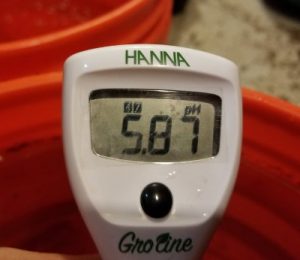 This batch of nutrient solution had a Ph of 5.87, right within the range of 5.8-6.0 that works best for watering in coco.