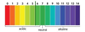The pH scale is used to gauge the acidity of liquid nutrient solutions for marijuana. 7 is neutral; the lower the number the more acidic it is; the higher the number the more alkaline.